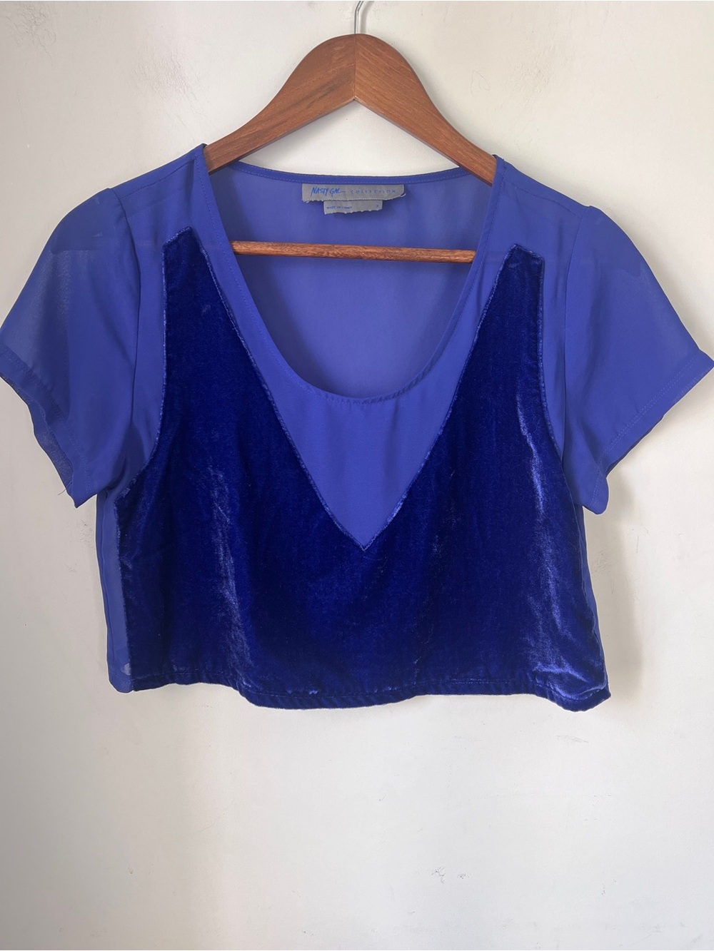 Nasty Gal Blue Purple Velvet & Sheer Crop Top